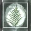 Lilla Støv - Bondfire - Single